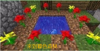 5.png