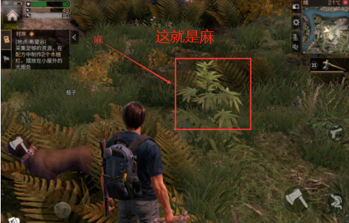 3.png
