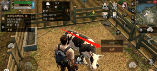 6.png