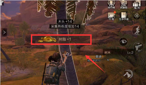 5.png