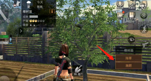 4.png