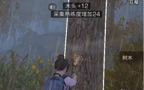 1551102764(1).png