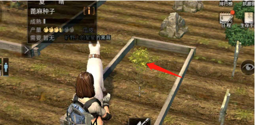 1551273611(1).png