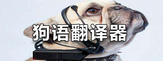 狗语翻译器