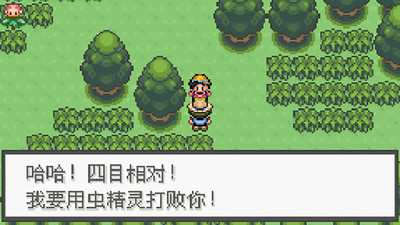 4口袋妖怪极光石.jpg