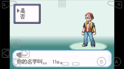 5口袋妖怪：叶绿中文珍藏版.jpg