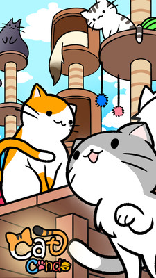 8猫咪公寓.jpg