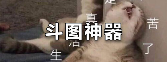 斗图神器