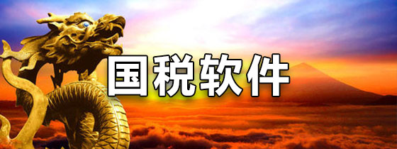 国税软件