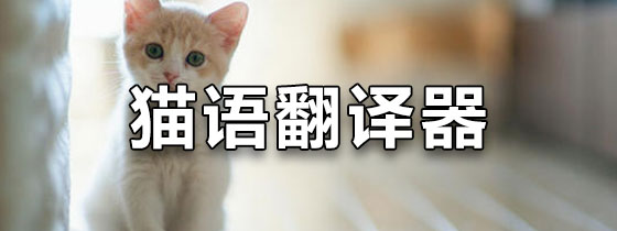猫语翻译器