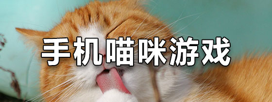 手机喵咪游戏