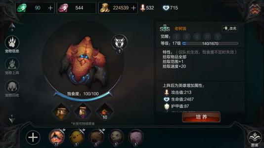 拉结尔幻化攻略 拉结尔手游最新幻化玩法大全