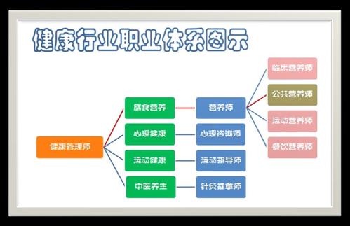 健康管理软件哪个好 最好用的健康管理软件推荐