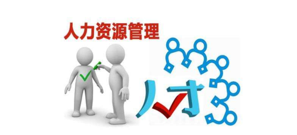 人力资源管理软件有哪些 人力资源管理软件排名介绍