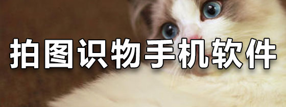 拍图识物手机软件