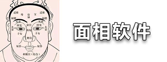 面相软件