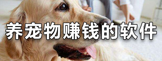 养宠物赚钱的软件