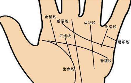 看手相软件哪个好 超准的看手相软件有哪些