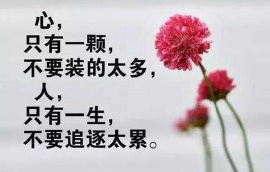 朋友圈文案app哪一个好用 微信朋友圈文案app推荐