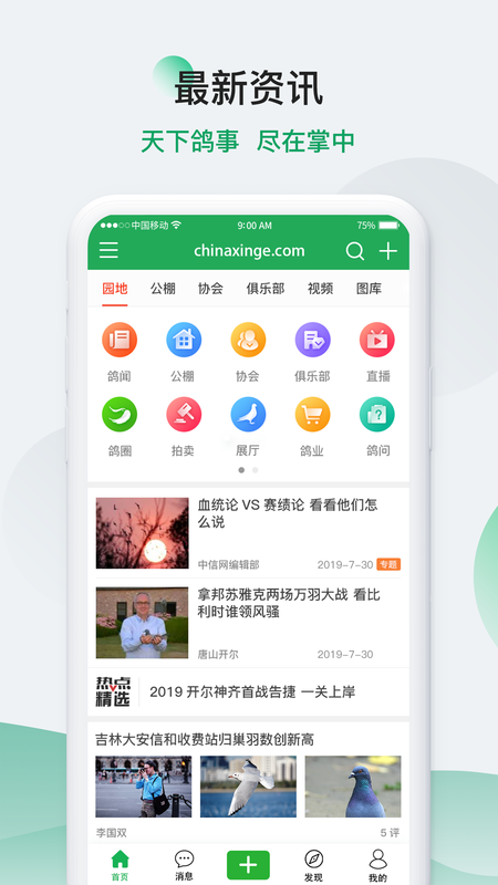中国信鸽信息网下载_图片1