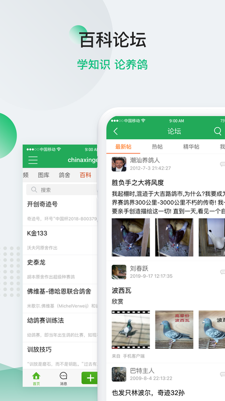 中国信鸽信息网下载_图片5