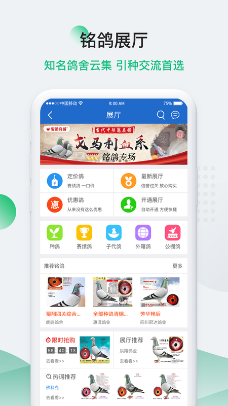 中国信鸽信息网下载_图片3