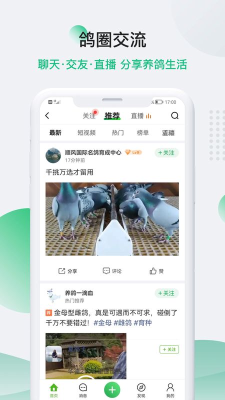 中国信鸽信息网下载_图片2
