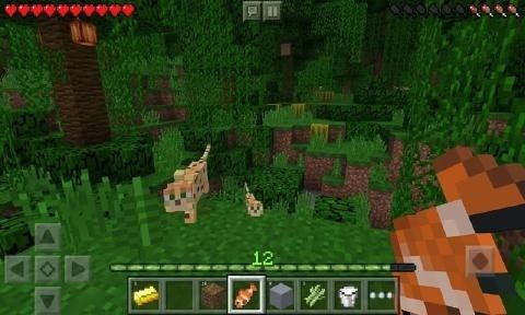 我的世界基岩版1.19_图片3