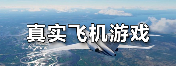 真实飞机游戏