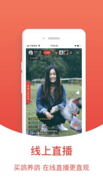 搜鸽天下免费查询_图片2