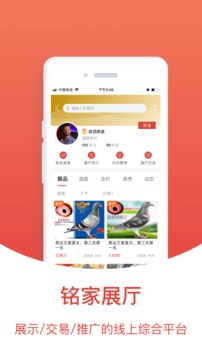 搜鸽天下免费查询_图片3