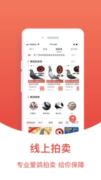 搜鸽天下一查信鸽成绩_图片5