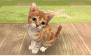 关于猫的手游有哪些 关于猫的手游推荐