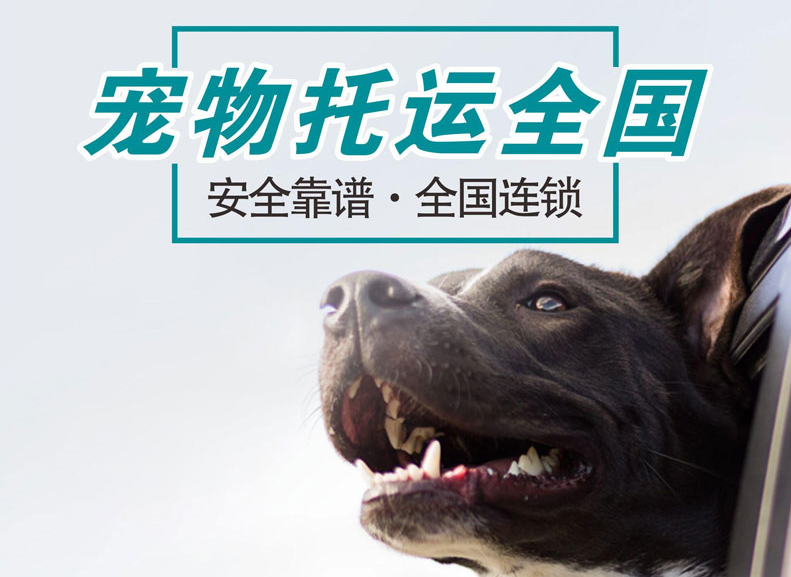 宠物托运软件哪个好 宠物托运软件怎么样