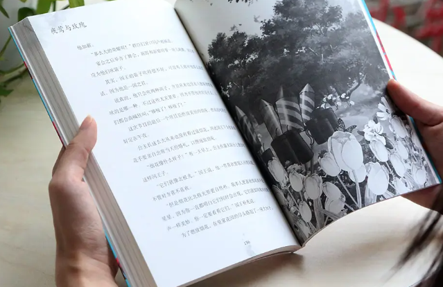 文库软件哪个好 免费的文库软件有哪些