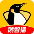 企鹅体育官方版