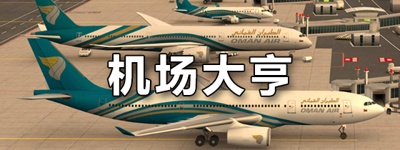 机场大亨