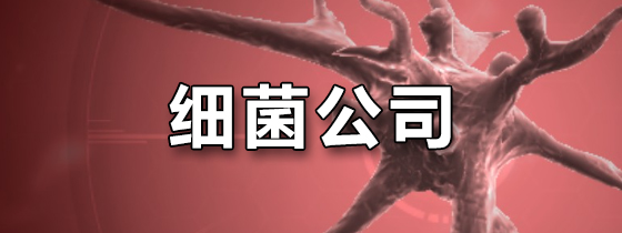 细菌公司