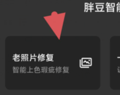 qq截图20240805100537.png