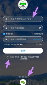 qq截图20240813135404.png