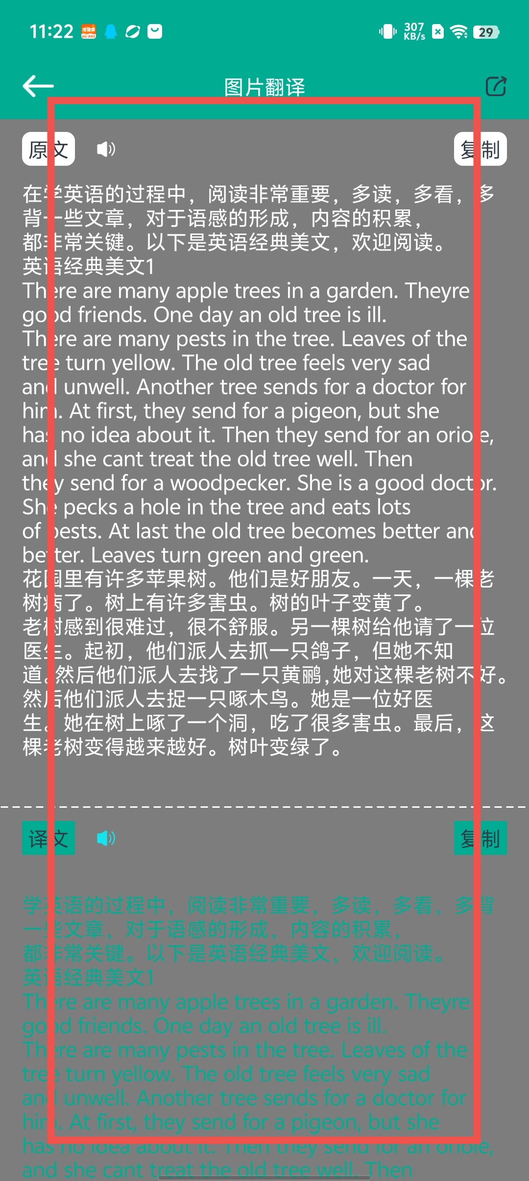 fa11cc1e2e65debbdbd5df530261928d.jpg