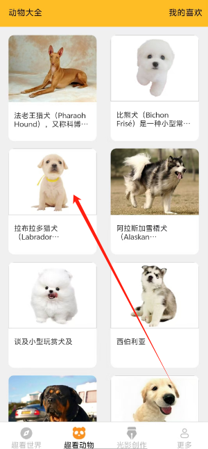 1731304387621.png