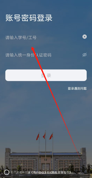 1731306003826.png