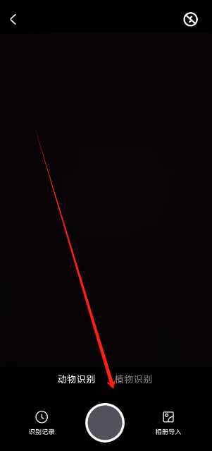 1731392702770.png