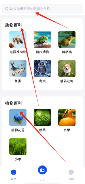 1731392720439.png