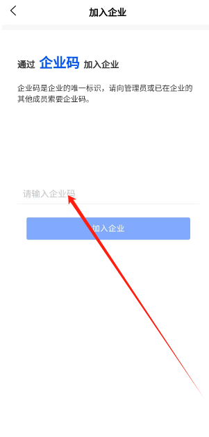 1731996387636.png