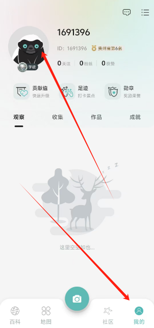 1733203977377.png