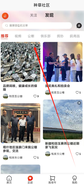 1733804365149.png