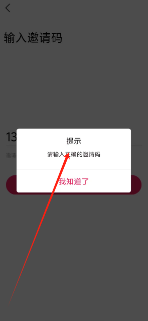 1733806929089.png