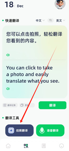 1734498799435.png